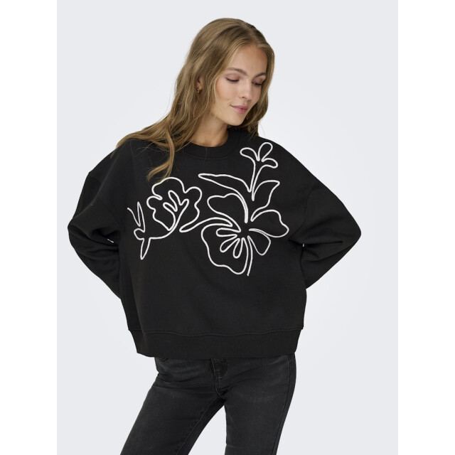 Jacqueline de Yong Jdycanoa ls emb sweat jrs noos dessin 4209.89.0002 large