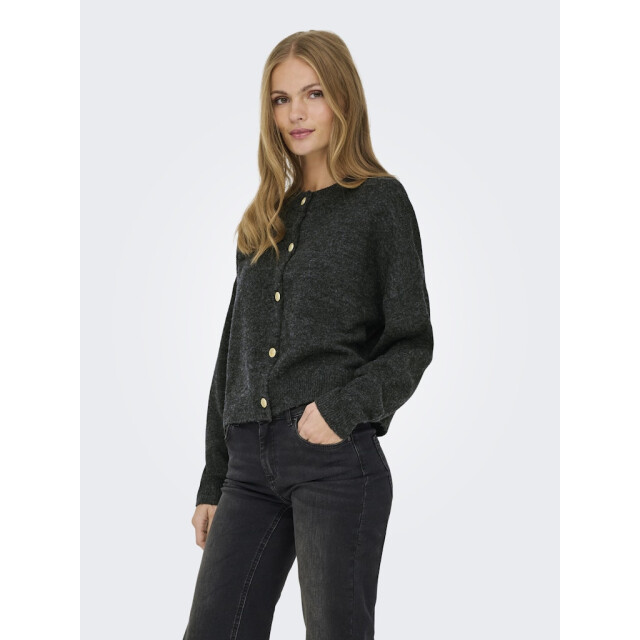 Jacqueline de Yong Jdydebbie ls o-neck cardigan knt melee 4249.87.0007 large