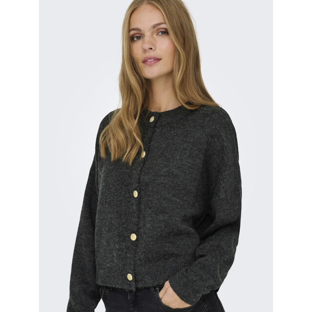 Jacqueline de Yong Jdydebbie ls o-neck cardigan knt melee 4249.87.0007 large