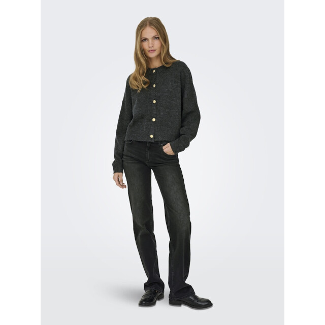 Jacqueline de Yong Jdydebbie ls o-neck cardigan knt melee 4249.87.0007 large