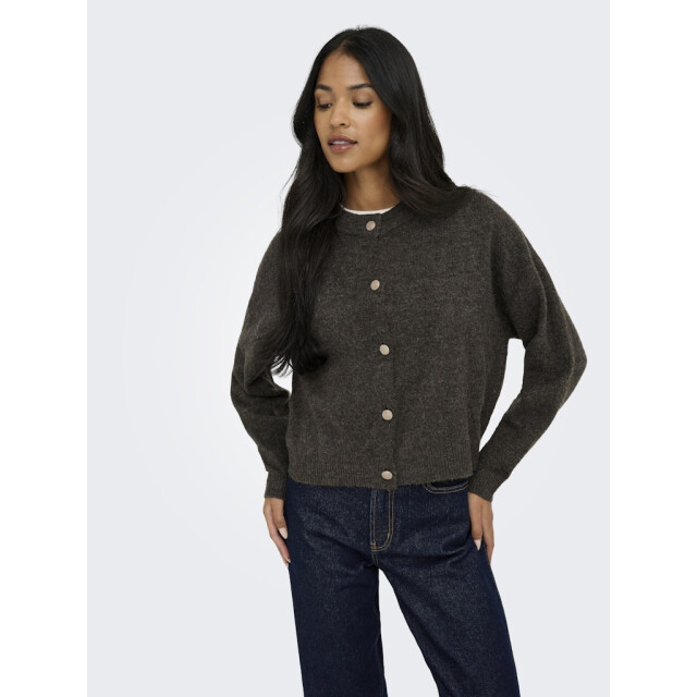 Jacqueline de Yong Jdydebbie ls o-neck cardigan knt - 4249.70.0003 large