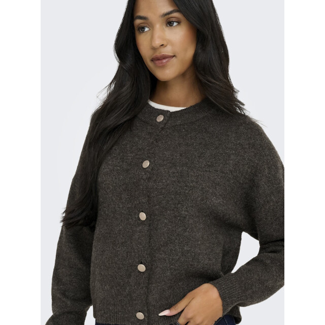 Jacqueline de Yong Jdydebbie ls o-neck cardigan knt - 4249.70.0003 large