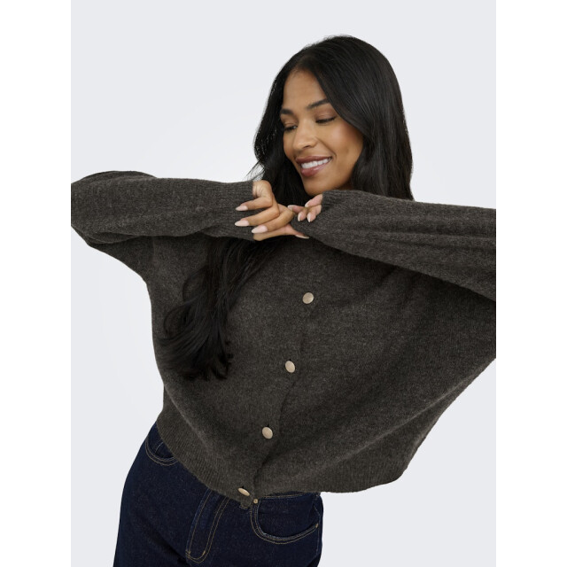 Jacqueline de Yong Jdydebbie ls o-neck cardigan knt - 4249.70.0003 large
