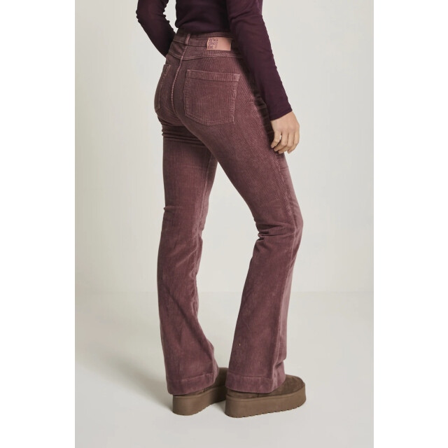 Para Mi Fw251.104070 jade broek FW251.104070 Jade broek large