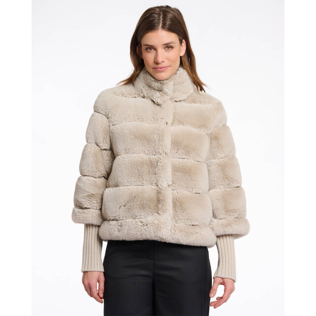 Rino & Pelle Jack feline.7002512 Rino & Pelle Jack Feline.7002512 large