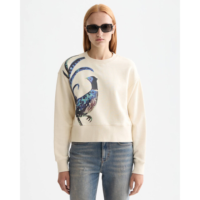 Scotch & Soda Sweat u9e00873t Scotch & Soda Sweat U9E00873T large