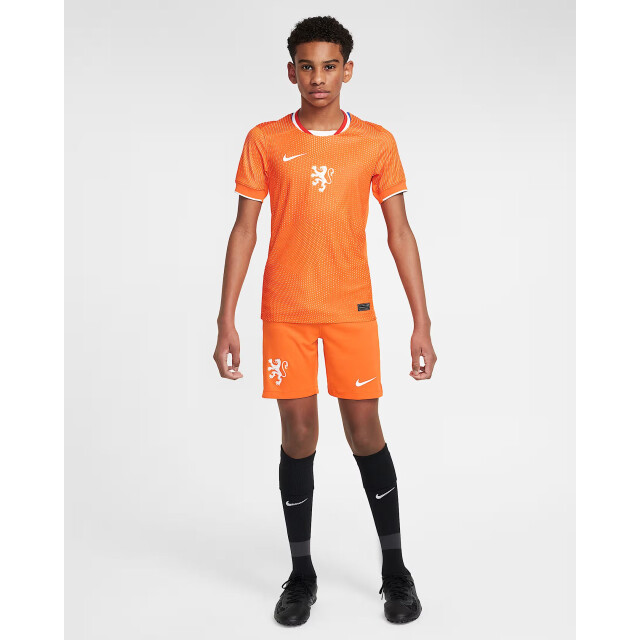 Nike knvb y nk df stad jsy ss hm replica wedstrijdshirt voetbal - 070155_470-L large