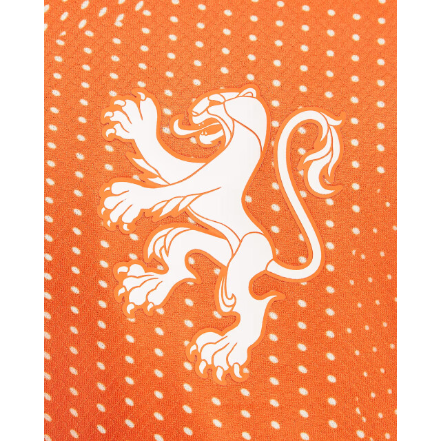 Nike knvb y nk df stad jsy ss hm replica wedstrijdshirt voetbal - 070155_470-L large