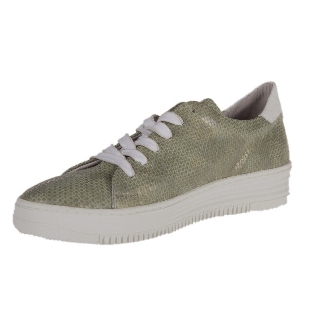 Piedi Nudi 898104 Sneakers Groen 898104 large