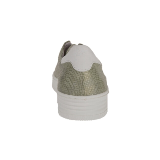 Piedi Nudi 898104 Sneakers Groen 898104 large