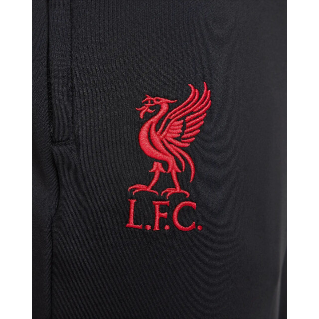 Nike lfc m nk df strk pant kpz se replica trainingsbroek voetbal dames - 069068_990-L large