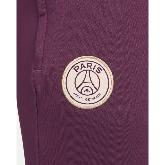 Nike psg m nk df strk pant kpz replica trainingsbroek voetbal dames - 066330_600-M large