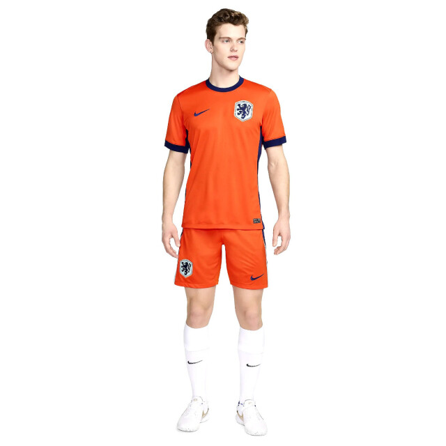 Nike knvb m nk df stad short hm wedstrijdbroek replica voetbal - 066315_470-S large