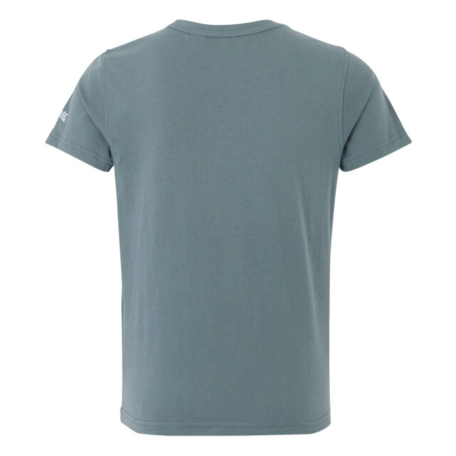 Regatta Kinderen/kinderen bosley viii woud t-shirt UTRG11663_stormyweather large