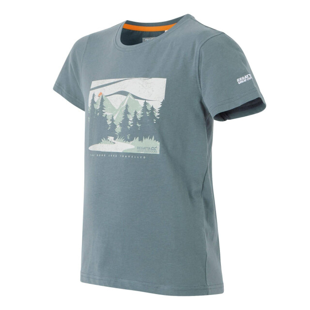 Regatta Kinderen/kinderen bosley viii woud t-shirt UTRG11663_stormyweather large