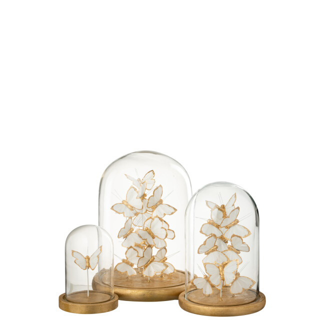 J-Line Decorative bell jar butterfly glass white/gold colored large 56478 large