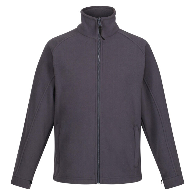 Regatta Dames thor iii fleece jacket UTLT379_sealgrey large