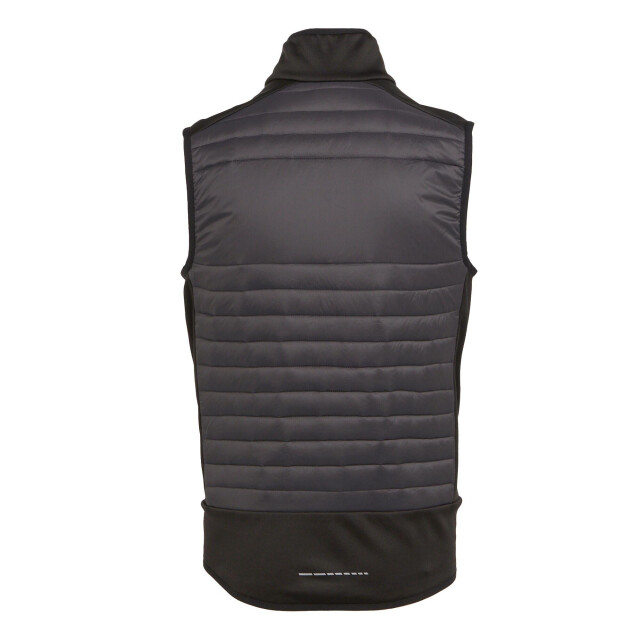 Regatta E-volve thermische hybride bodywarmer voor volwassenen UTLT405_ashblack large