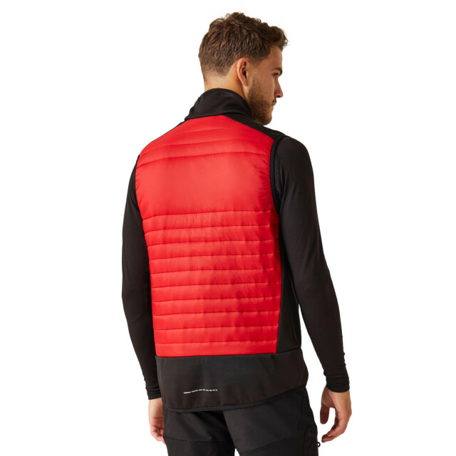 Regatta E-volve thermische hybride bodywarmer voor volwassenen UTLT405_classicredblack large