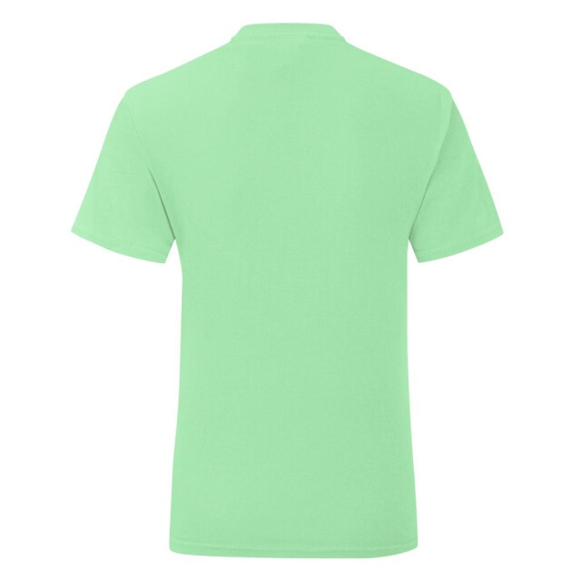 Fruit of the Loom Meisjes pictogram 150 t-shirt UTFK3350_mint large