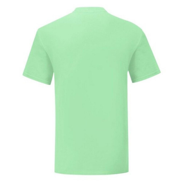 Fruit of the Loom Heren iconisch 150 t-shirt UTFK3355_mintgreen large
