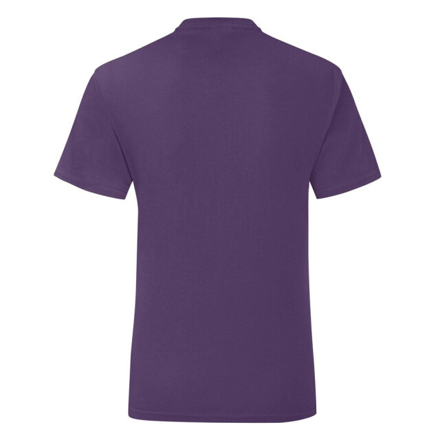 Fruit of the Loom Meisjes pictogram 150 t-shirt UTFK3350_purple large