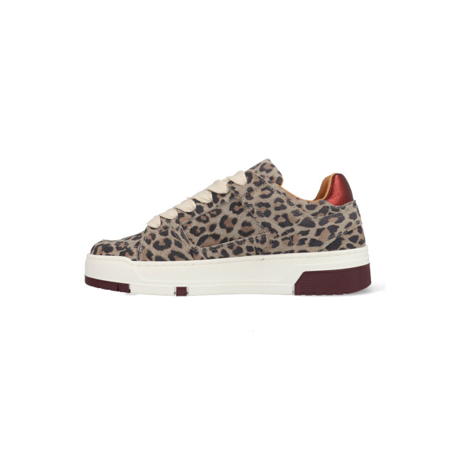 DWRS Label Whitby leopard j6972-02-4568 bordeaux / grijs J6972 large