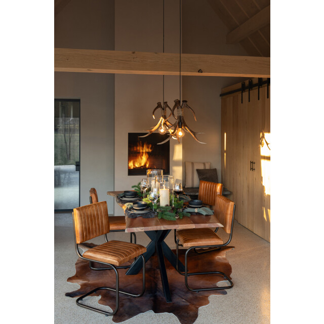 J-Line Ceiling lamp antlers polyresin brown small 57275 large