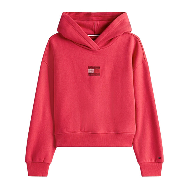 Tommy Hilfiger Sweat kg0kg09016 Tommy Hilfiger Sweat KG0KG09016 large