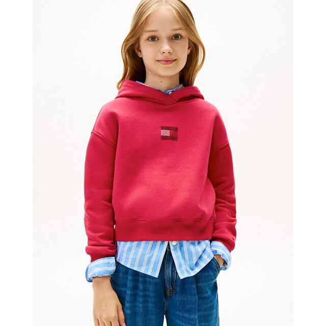 Tommy Hilfiger Sweat kg0kg09016 Tommy Hilfiger Sweat KG0KG09016 large