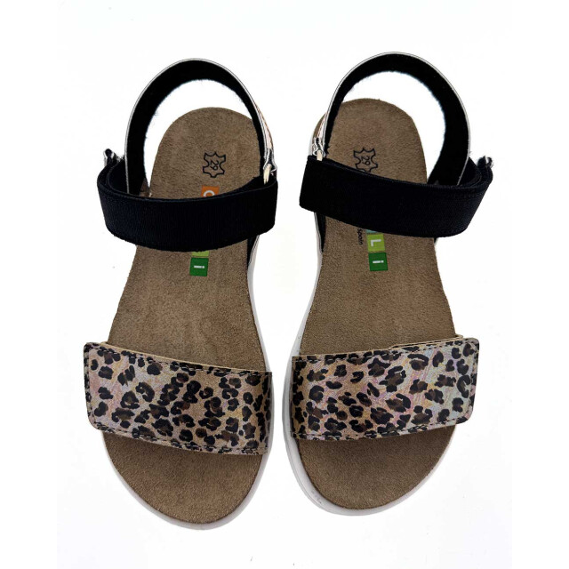 Chili Madison sandalen MADISON large