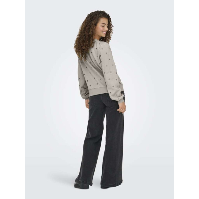 Only Onlatika l/s o-neck glitter emb. box swt pumice st 15355802-189959004 large