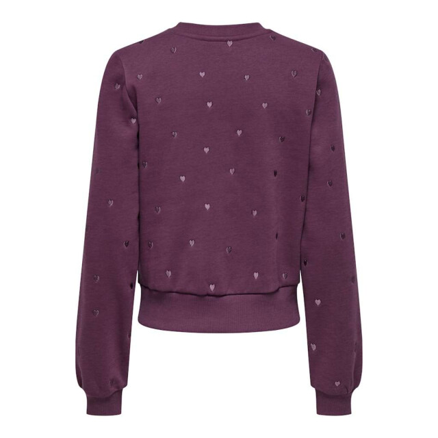 Only Onlatika l/s o-neck glitter emb. box swt mauve win 15355802-294415002 large