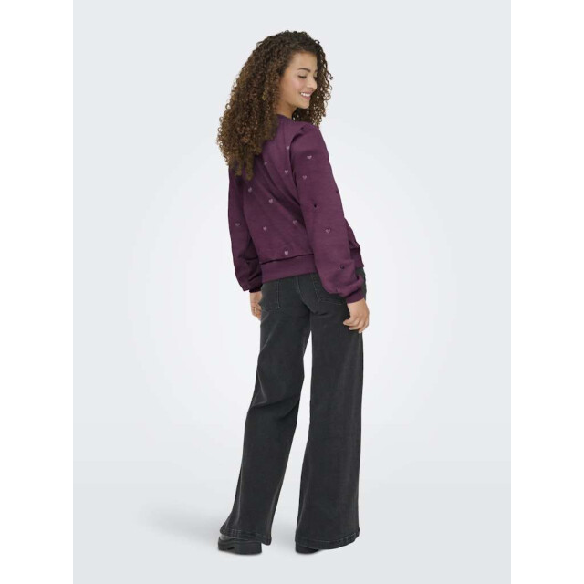 Only Onlatika l/s o-neck glitter emb. box swt mauve win 15355802-294415002 large