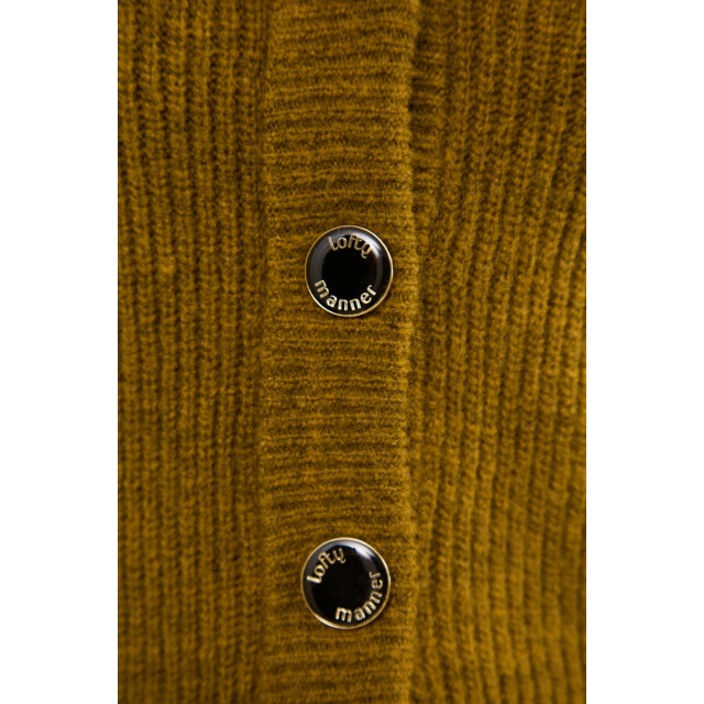 Lofty Manner cardigan lilly qi201-kw 450 green 06741.369.0027 large