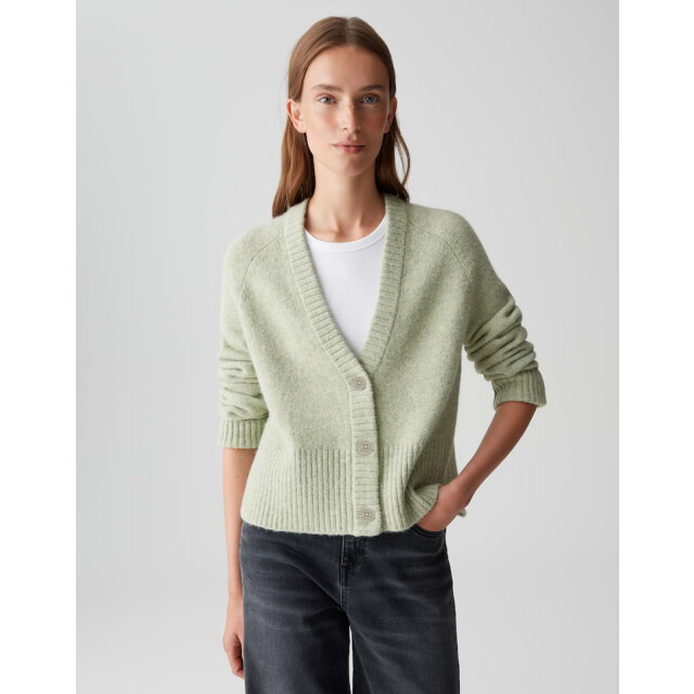 Opus dassi 10460813461100 dassi 30041 soft matcha 06741.369.0124 large