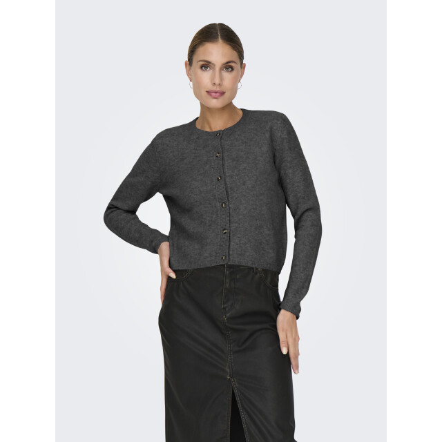 Jacqueline de Yong chloe life l/s cardigan knt noos 15330581 dark grey melange 06741.970.0002 large