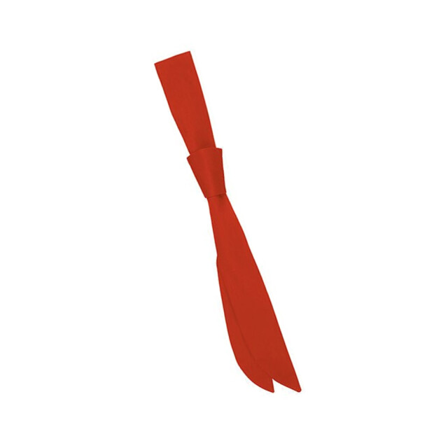 Karlowsky Uniseks stropdas voor volwassenen UTLT3583_red large