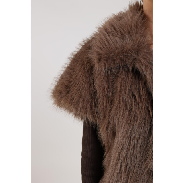 Nukus Nkf08002 65 loua gilet fango NKF08002  65 large