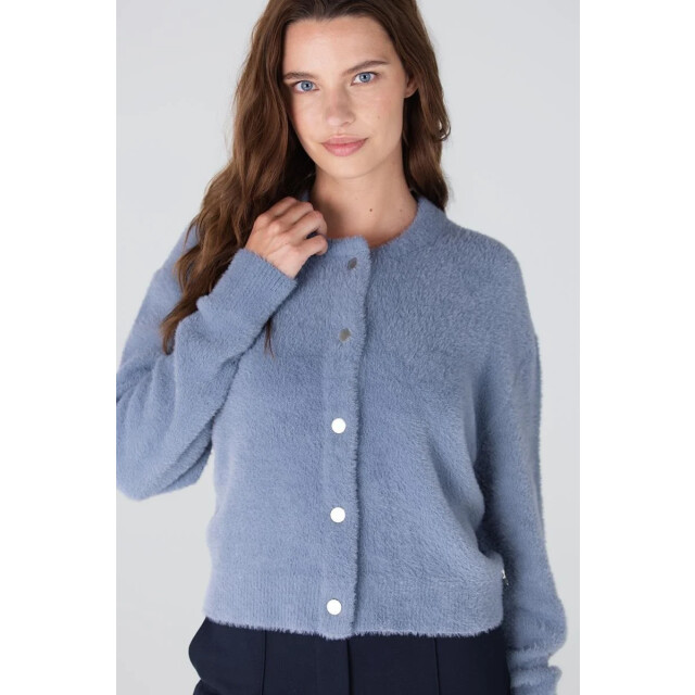 Jansen Amsterdam Cloe vest p205 blue grey P205 large