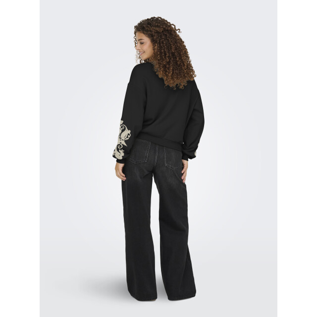 Only Onlbrooklyn l/s embroidery box swt 15355805 large
