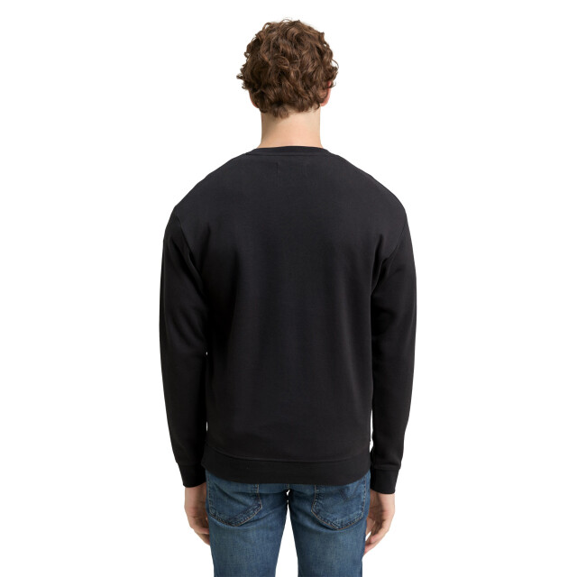 Tom Tailor Structured crewneck sweatshirt 1046270 large