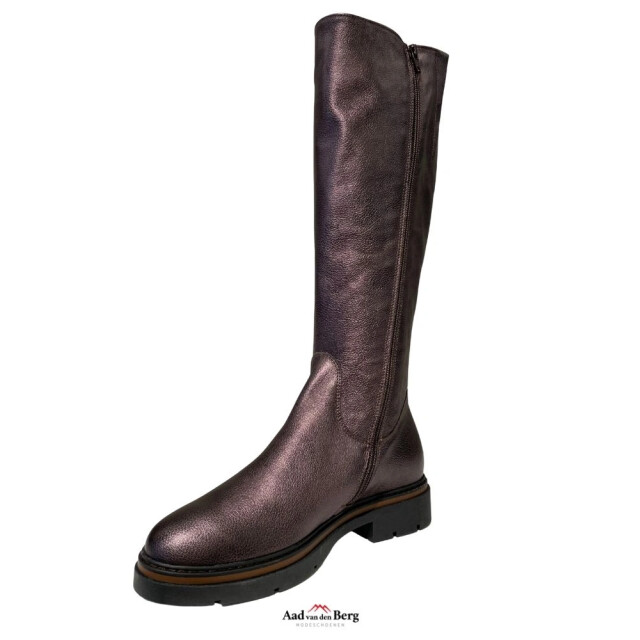 DL Sport Damesschoenen laarzen 6773 934 large