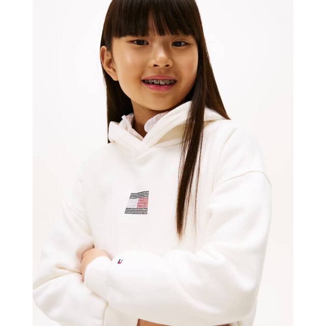 Tommy Hilfiger Sweat kg0kg09016 Tommy Hilfiger Sweat KG0KG09016 large