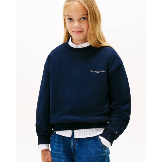 Tommy Hilfiger Pullover ks0ks00719 Tommy Hilfiger Pullover KS0KS00719 large