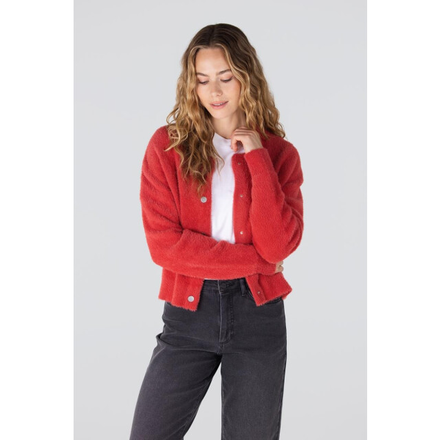 Jansen Amsterdam Cloe vest p205 cayenna P205 large