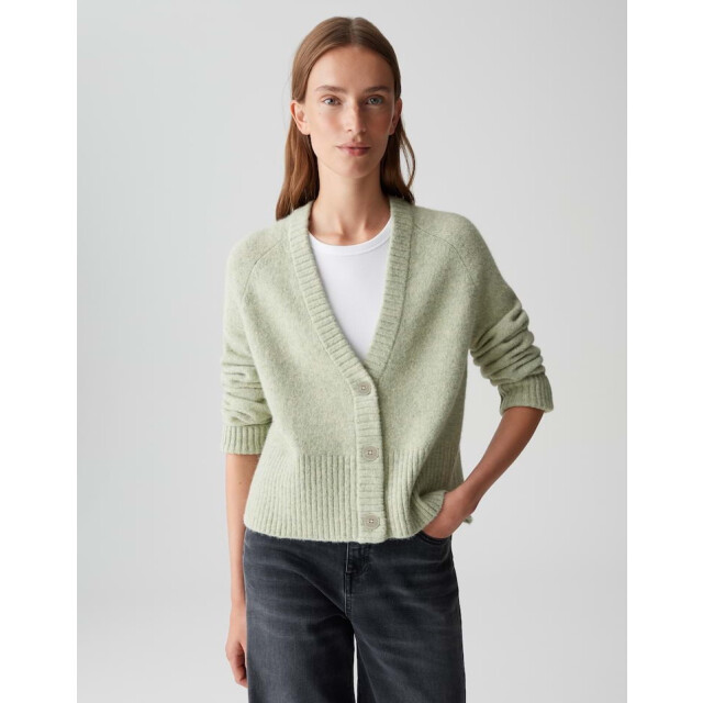 Opus Dassi 10460813461100 mint 4249.21.0004 large
