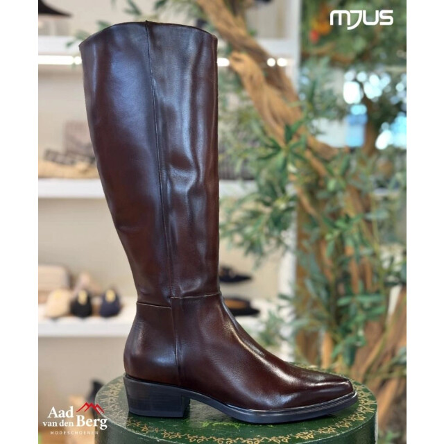 Mjus Damesschoenen laarzen L89305 Mary large