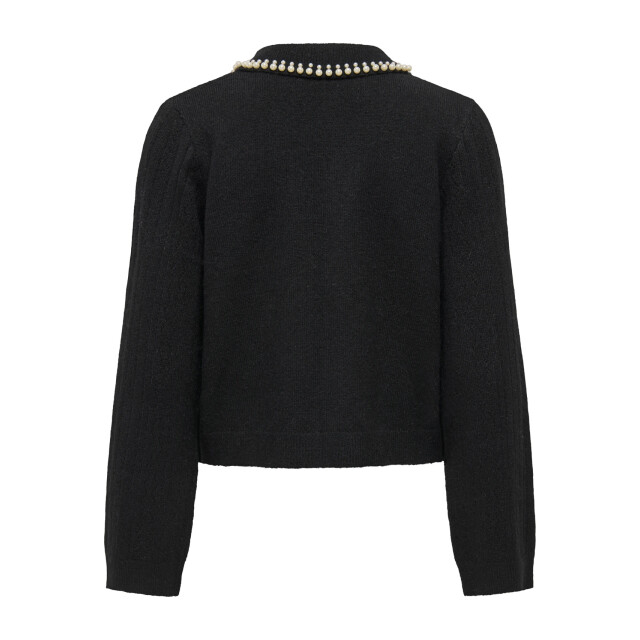 Jacqueline de Yong april life l/s pearl collar pull 15351838 - 06712.991.0126 large