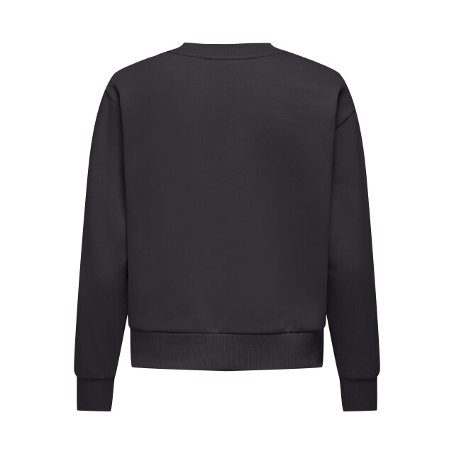 Jacqueline de Yong paris l/s emb sweat jrs 15221015 phantom 06721.980.0004 large